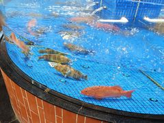 -闽南厝·闽南菜(福隆店)