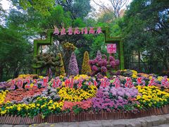 -杭州植物园