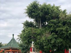 -达濠古城