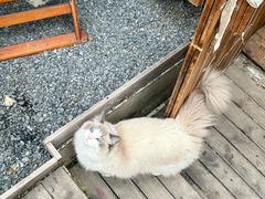 -小魚花店