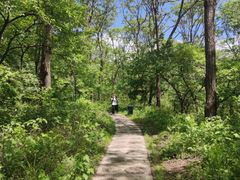 -玉渡山自然风景区