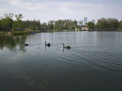 -武汉动物园