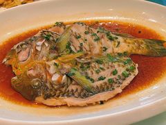 -华盛丰温州大排档(东三环南路店)