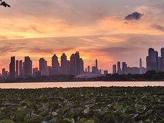 -月湖风景区
