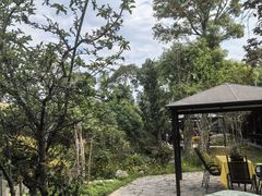 -胖大姐黄辣丁鱼庄(新津店)