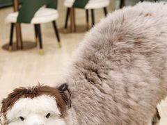-安格丽娜·狗咖·猫咖羊驼咖(春熙路百盛商场店)