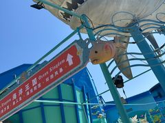 -海合安武汉极地海洋公园