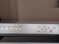 -中国钱币博物馆