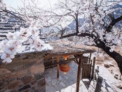 -坡峰岭