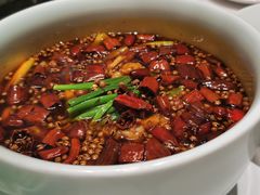 -沸腾鱼乡(知春路分店)