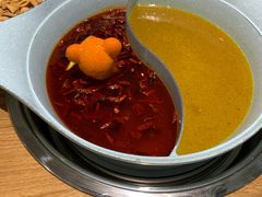 -青瓷火锅料理(西单大悦城店)