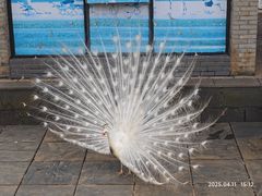 -鄱阳湖国家湿地公园