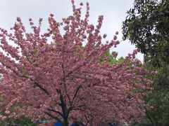 -毛华美食(清扬路店)