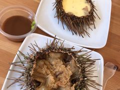 -海胆小馆(东北水饺·春柳店)