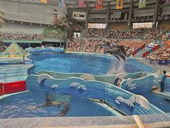 -海合安成都极地海洋公园