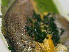 烧椒汁大黄鱼-飶香居(省博物馆店)