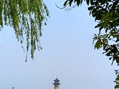 -溱湖国家湿地公园