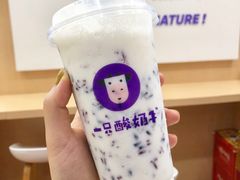 -一只酸奶牛(八一路店)