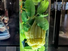 -广东中医药博物馆
