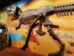 -北京科学中心儿童乐园