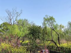-南汇桃花村