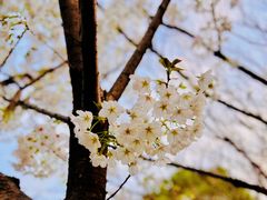 -苏州河梦清园环保主题公园