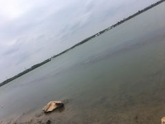 -丁香湖公园