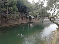 -溪口-滕头旅游景区