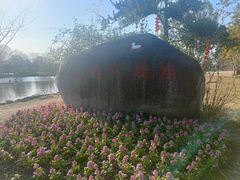 -鹅湖玫瑰文化园