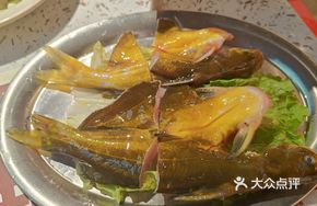 Fresh Live Yellow Catfish