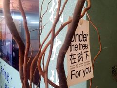 -大张肉饼店(新开街店)