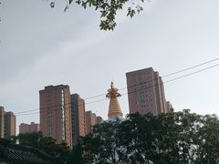-护国法轮寺