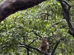 -黔灵山公园-南门售票处