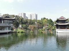 -荔湾湖公园