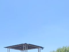 -哈尔滨北方森林动物园