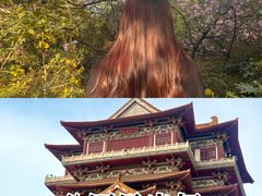 -云龙湖旅游景区