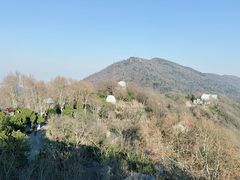 -紫金山天文台