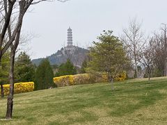 -北坞公园