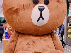 -line friends(明洞旗舰店)