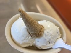 -极拉图·现制冰淇淋(大卫城店)