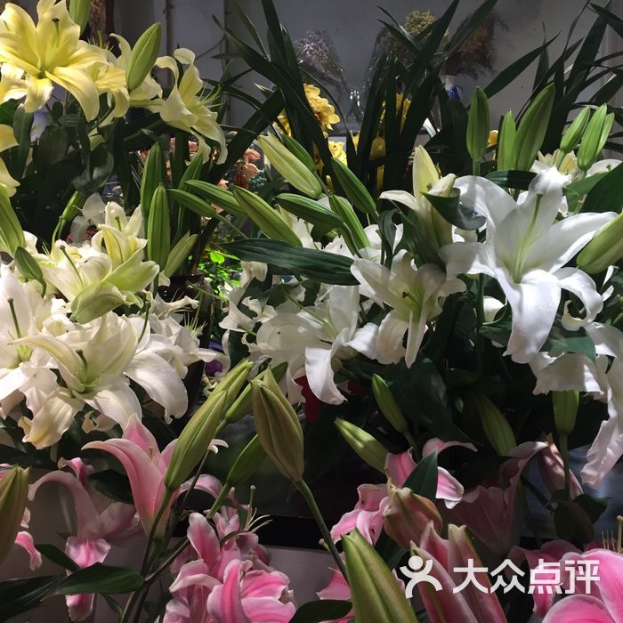 春申花藝鮮花店圖片-北京花店-大眾點評網