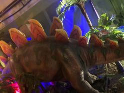 -恐龙探索乐园(磁器口店)