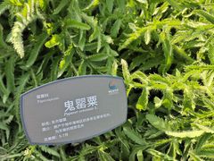 -国家植物园南园