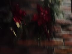 -观唐足道SPA养生会馆(南湖店)