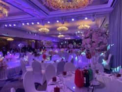 -曼格纳婚礼艺术中心(张江店)