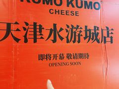 -鹏欣水游城