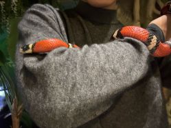 -酷嗒动物文化乐园(cutezoo西溪乐天城店)