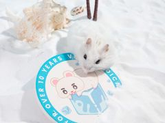 -茶颜悦色(星沙中茂城五楼店)