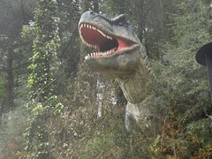 -贵州森林野生动物园
