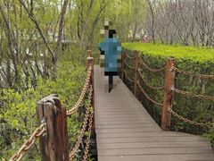 -西安浐灞国家湿地公园